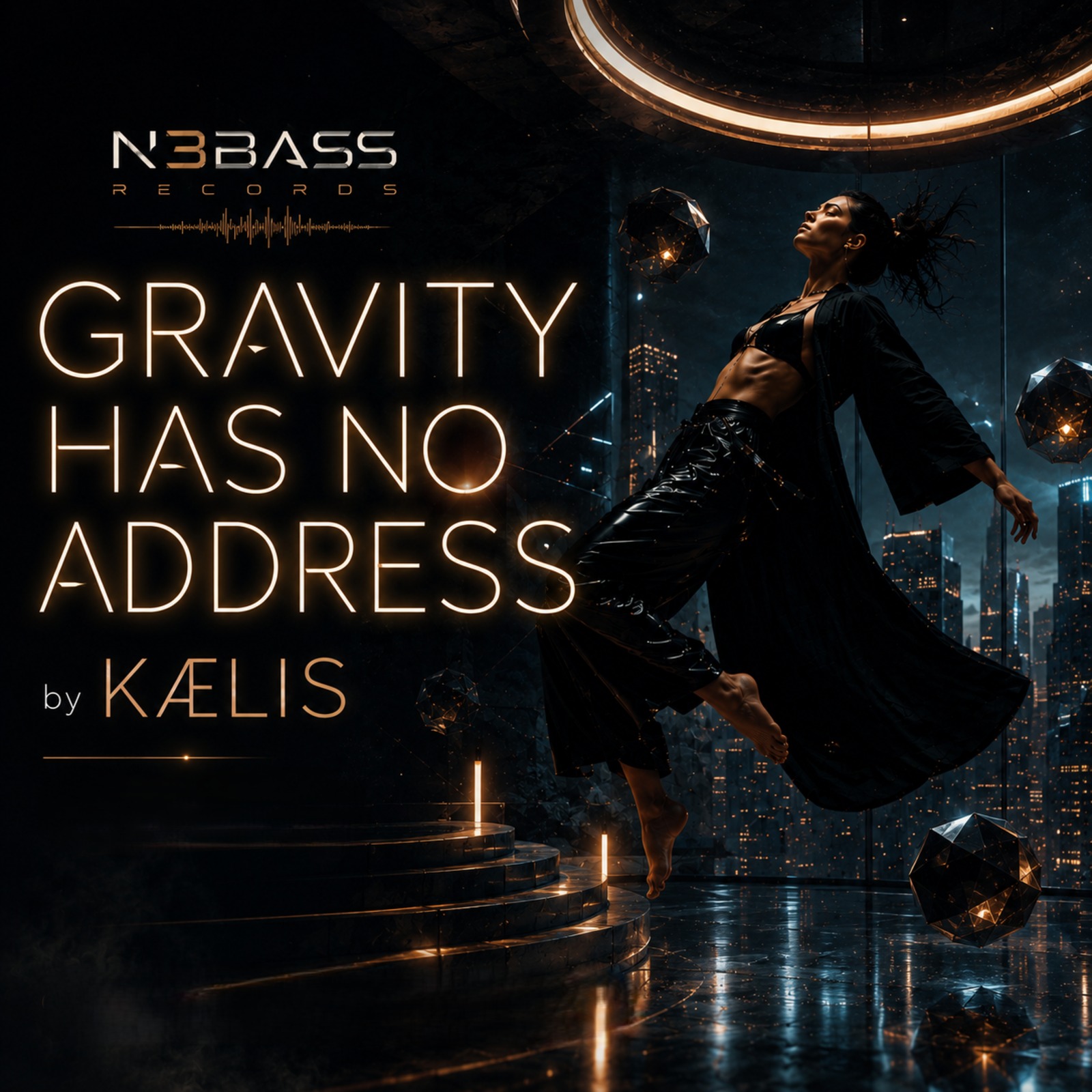 Cover of Gravity Has No Address